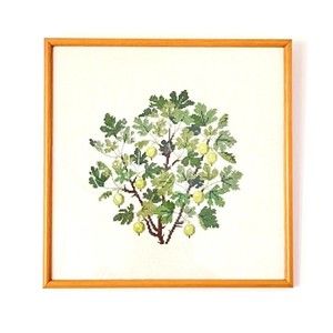 Vintage Handmade Cross Stitch Pettit On Linen Gooseberry Tree Finished Framed
